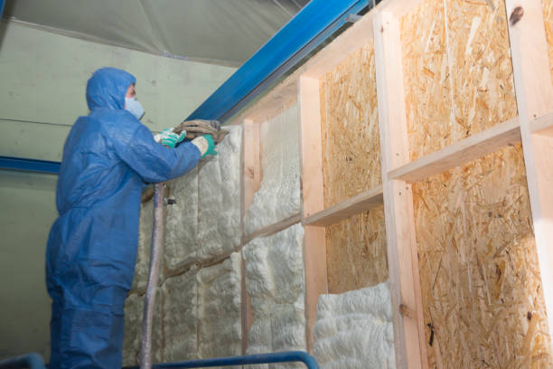 Insulation Repair Services in Harrison, AR