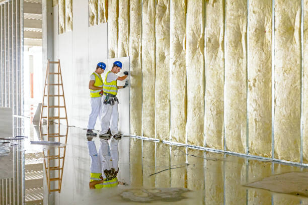 Professional Insulation Contractor in Harrison, AR